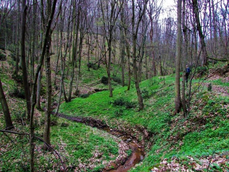 Вилла Brvnara Вршац Экстерьер фото